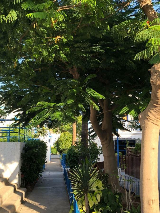 Bungalow Playmar 普拉亚戴尔雷安格莱斯 外观 照片